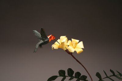 Anna's Hummingbird, opus 466 & Trumpet Blossoms, opus 395, by Robert J. Lang