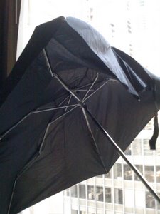 Wind-stricken umbrella