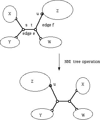 NNI tree operation