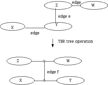 TBR tree operation