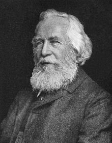 Portrait of Ernst Haeckel