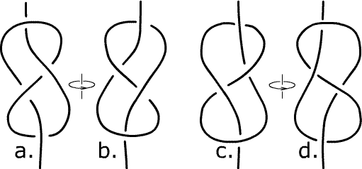 figure-eight knots