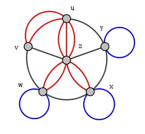 Graph with loops and multiple edges
