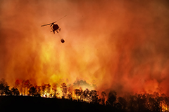 A helicopter drops water on a forest fire