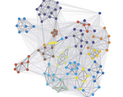 Graph of committee connections
