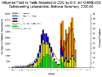 Weekly flu cases in the U.S.