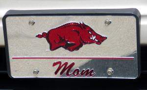 Hog license plate