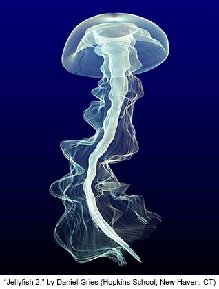 Gries-Jellyfish2.jpg