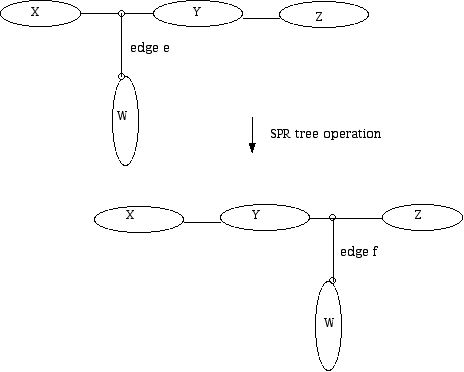 SPR tree operation